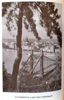 Siklóssy László: A Fővárosi Közmunkák Tanácsa története. Rakovszky Iván előszavával. Hogyan épült Bu...