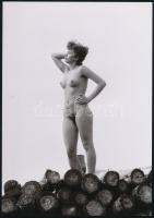 cca 1974 Favágónak legszebb lánya, 3 db szolidan erotikus fénykép, vintage negatívokról készült mai nagyítások, 25x18 cm / 3 erotic photos, 25x18 cm