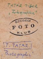 cca 1973 Tatár Tibor: Fotografika, feliratozott vintage fotóművészeti alkotás, kasírozva, 39x29 cm