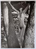 cca 1968 Jelzés nélküli fotóművészeti alkotás Czakó László hagyatékából 37x26 cm / erotic photo, 37x26 cm
