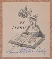 Gárdonyi Géza: A láthatatlan ember. Mühlbeck Károly rajzaival. Magyar Regényírók Képes Kiadása. Bp.,...