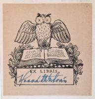Szekfű Gyula: A mai Széchényi. Eredeti szövegek Széchenyi István munkáiból. Kiválogatta, bevezetésse...