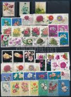 1968-1992 Flowers 49 diff stamps with sets, 1968-1992 Virág motívum 49 klf bélyeg, közte sorok (2 stecklapon)