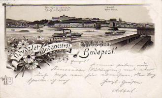 Budapest 1895 Braun Litho