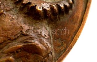 Nyírő Gyula (1924-2005): Galilei, bronz plakett, jelzett, d: 16 cm