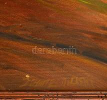 Zimmerman jelzéssel: Házudvar. Olaj, vászon, keretben, 46×60 cm