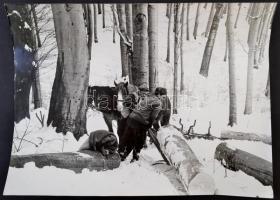 cca 1968 Darkó István 3 db vintage fotóművészeti alkotása, kettő feliratozott, 40x30 cm