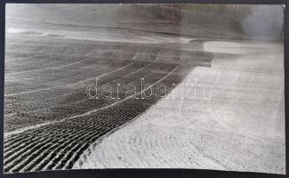 cca 1973 Zsigri Oszkár (1933-?): Szántás, feliratozott vintage fotóművészeti alkotás, 23x38 cm