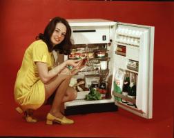 1973 Jászberény, a Hűtőgép Gyár termékeiről készült felvételsorozat, 9 db szabadon felhasználható vi...