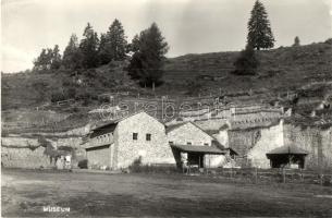 Magdalensberg, Stalenska Gora; Ausgrabung des Landes Kärnten / excavation site in Carinthia