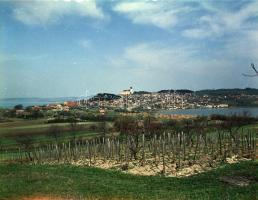 1967 Tihanyi félszigetről készült felvétel sorozat, 13 db szabadon felhasználható vintage negatív, 6...