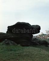 1967 Tihanyi félszigetről készült felvétel sorozat, 13 db szabadon felhasználható vintage negatív, 6...