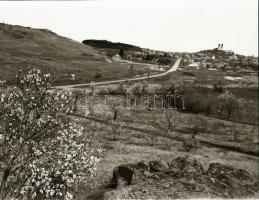 1967 Tihanyi félszigetről készült felvétel sorozat, 13 db szabadon felhasználható vintage negatív, 6...