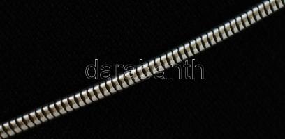 Ezüst(Ag) kígyó nyaklánc, jelzett, h: 62,5 cm, nettó: 9,9 g