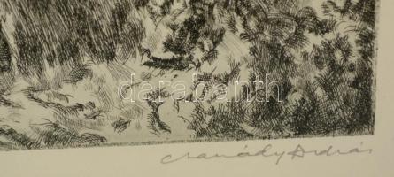 Csanády András (1929- ): Szurdokvölgy, rézkarc, papír, jelzett, számozott (52/100), üvegezett fa ker...