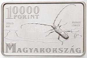 2015. 10.000Ft Ag "Duna-Ipoly Nemzeti Park" (31,51g/0.925) T:PP