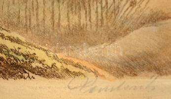 Paulovits Pál (1892-1975): Erdő. Színezett rézkarc, papír, jelzett, 29×39  cm