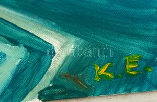 Koltai Emese (?-): Sétahajó a Dunán. Olaj, vászon, jelzett,  40×80 cm