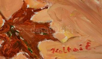 Koltai Emese (?-): Kandeláber a Lukácsnál. Olaj, vászon, jelzett, 40×80 cm