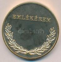 DN "Hajdú-Bihar Megye Önkormányzata / Emlékérem" aranyozott fém piefort emlékérem, tokban ...