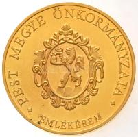 DN "Pest Megye Önkormányzata" aranyozott fém emlékérem (2x) fa díszdobozban (65mm) T:1(PP)