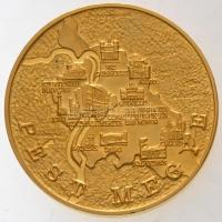 DN "Pest Megye Önkormányzata" aranyozott fém emlékérem (2x) fa díszdobozban (65mm) T:1(PP)