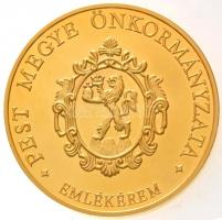DN "Pest Megye Önkormányzata" aranyozott fém emlékérem (2x) fa díszdobozban (65mm) T:1(PP)