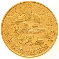 DN "Pest Megye Önkormányzata" aranyozott fém emlékérem (2x) fa díszdobozban (65mm) T:1(PP)