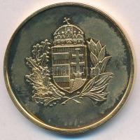 1993. "Nagykőrös 625 éves" aranyozott Br emlékérem tokban (42mm) T:2(PP)