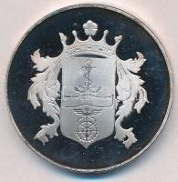 2000. "Naptárérem" fém emlékérem, hátoldalán Pesterzsébet címerével, műanyag tokban (42mm)...