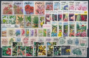 1964-1993 Flowers 57 stamps 1964-1993 Virág motívum 57 db bélyeg, közte teljes sorok stecklapon