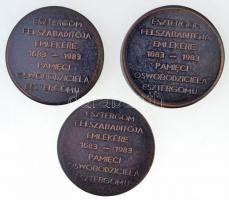 1983. "Esztergom felszabadítója emlékére 1683-1983" 3 klf Br emlékérem (50mm) T:2,2-