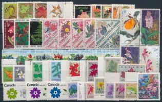 1963-1999 Virág, növény motívum 50 db klf bélyeg, közte teljes sorok stecklapon, 1963-1999 Flowers 50 stamps