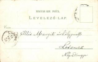 1899 Arad, Andrássy tér, Marospart, Városháza, Színház, Líceum / square, riverside, city hall, theat...