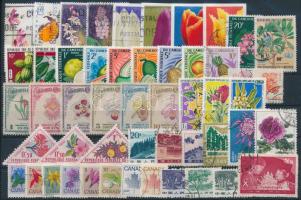 1947-2002 Flowers, plants 51 stamps, 1947-2002 Virág és növény motívum 51 db klf bélyeg, közte sorok stecklapon