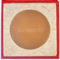 1970. "Eredményes Propaganda Munkáért" Br emlékplakett  eredeti tokban, "A Lenin Cent...