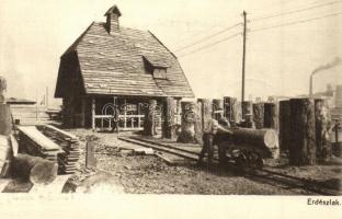 Erdészlak, József főherceg erdélyi hadikiállítása, tervezte Medgyaszay I. / foresters house, military exhibition