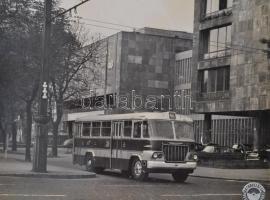 cca 1960 Ikarus 620 fotó, "Autobuszüzem Propagandacsoport", kartonlapra ragasztva, a karto...