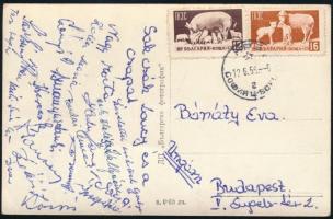 cca 1959 A magyar tornászcsapat tagjainak aláírásai Bánáty Éva tornász részére Szófiából küldött levelezőlapon