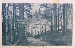 Tusnádfürdő, Baile Tusnad; leporellófüzet 16 képpel, vasútállomás, Andrasofszky kiadása / leporello ...