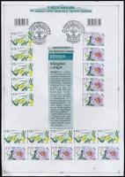 2015 XXI. Országos Cserkész Találkozó, Székesfehérvár 2 oldalas színes fénymásolat alkalmi bélyegzés...