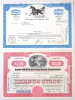 Amerikai Egyesült Államok 1931-1978. 8db-os részvény tétel, közte "The Italian American Civic C...