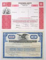 Amerikai Egyesült Államok 1931-1978. 8db-os részvény tétel, közte "The Italian American Civic C...