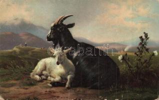 52 db RÉGI főként megíratlan motívumos képeslap, üdvözlőlapok, művészlapok, gyerekek, sok szignózott...