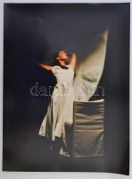 cca 1970-1980 Vegyes fotó tétel, 10 db nagyméretű természet és művész fotó, 30x40 cm