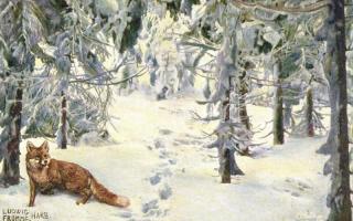 7 db RÉGI vadászos motívumlap, vegyes minőség / 7 pre-1945 hunting motive cards, mixed quality