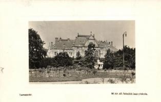 Temesvár, Timisoara; Állami felsőbb leányiskola, Uhrmann Henrik kiadása / girl school