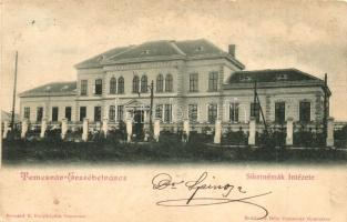 1899 Temesvár, Timisoara; Erzsébetváros, Siketnémák Intézete, Bernárd E. fényképész felvétele, Králicsek Béla kiadása / deaf-mute institute (Rb)