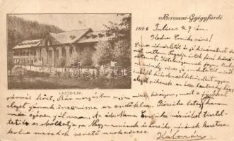 1896 (Vorläufer!) Borosznó-gyógyfürdő, Brusno-kúpele; Lajos lak / villa (vágott / cut)