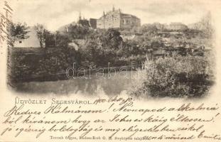 Segesvár, Sighisoara; folyópart, vármegyeház / river bank, county hall